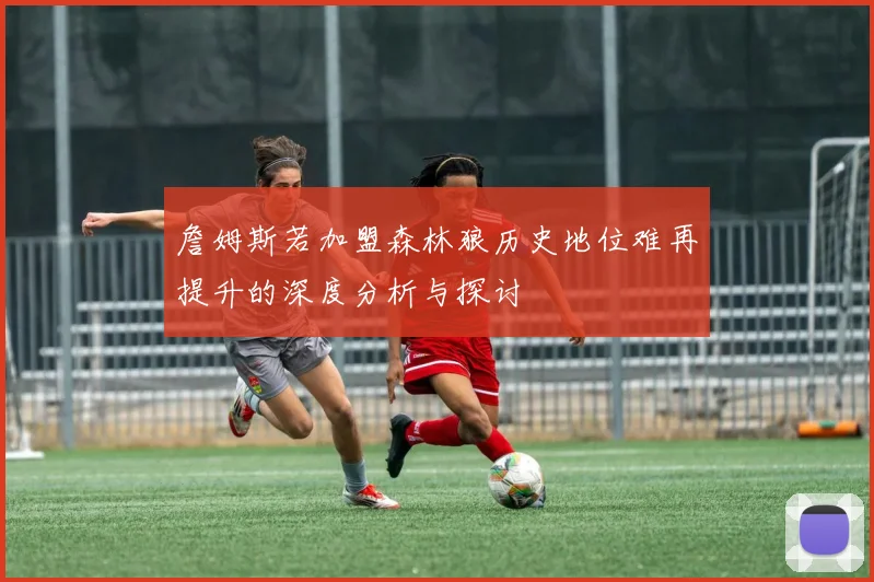 詹姆斯若加盟森林狼历史地位难再提升的深度分析与探讨