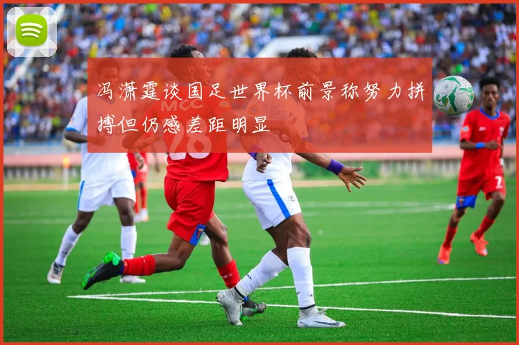 冯潇霆谈国足世界杯前景称努力拼搏但仍感差距明显